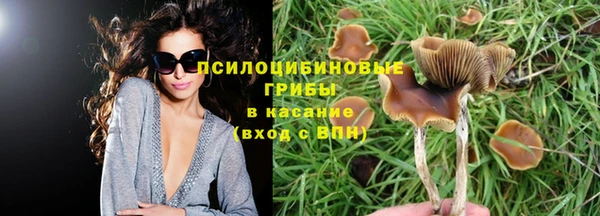 каннабис Алзамай