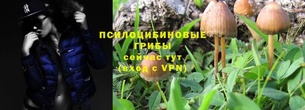 кокс Алексеевка